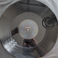 The vinyl
