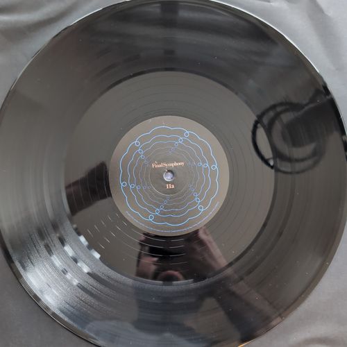 The vinyl
