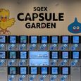 SQEX Capsule Garden (Gashapons)