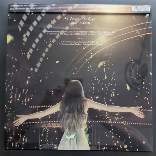 Back cover of the vinyl album box