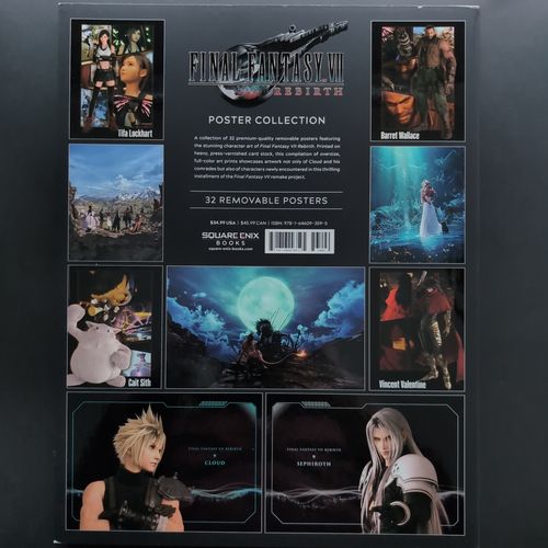 Back cover of the book with poster previews.