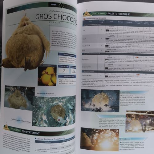 Two open pages from the inside of the book describing the Big Chocobo.