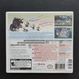 Boîte 3DS arrière